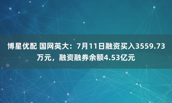 博星优配 国网英大：7月11日融资买入3559.73万元，融资融券余额4.53亿元